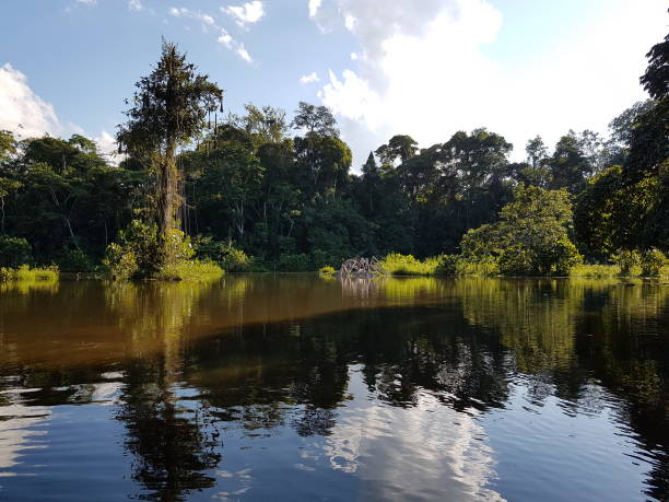 istock Beautiful jungle lake in Ecuador 874986046