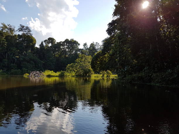 istock Beautiful jungle lake in Ecuador 874986048
