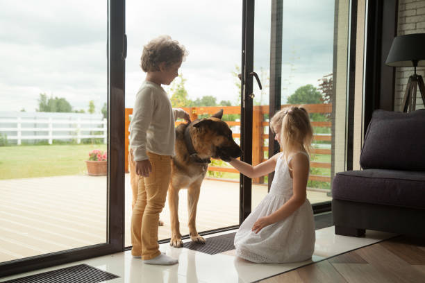 Kids playing with big german shepherd dog coming inside house