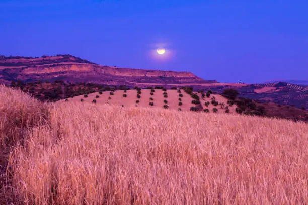 Photo of Andalusia panorama  at moonrise