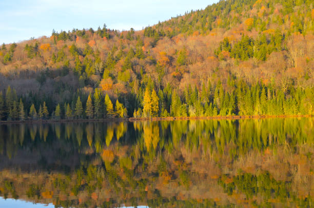 istock Mont Tremblant National Park 874997334
