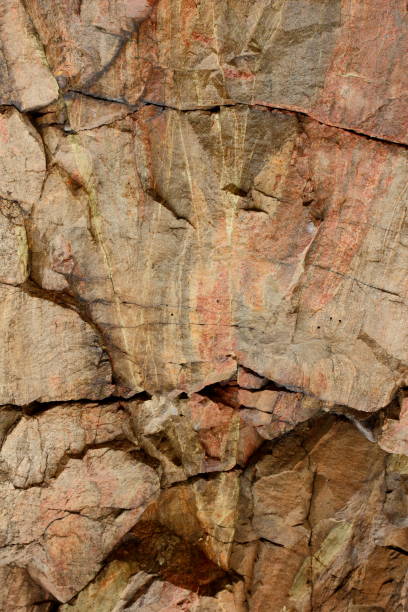 istock Abstract granite background, texture from another planet, Martian surface, stone background for designer, brown pattern of extraterrestrial life, granite, texture from the future, minimalism 874998448
