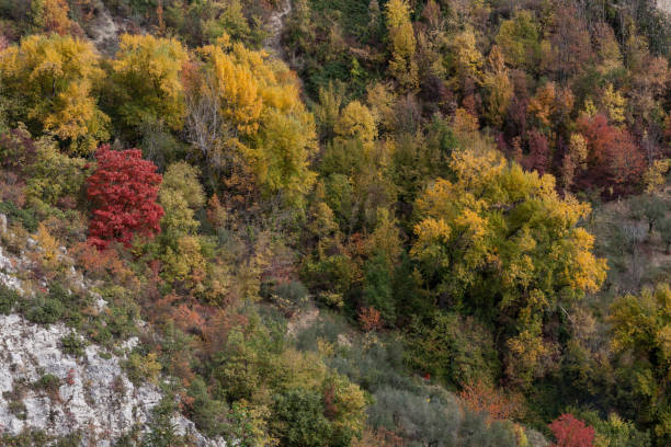 istock Colours of Abruzzo in Autum 875000568