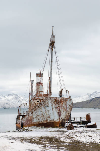 istock Old rusting whaling ship at Grytviken harbour,South Georgia 875001538