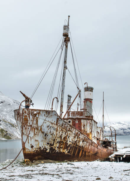 istock Old rusting whaling ship at Grytviken harbour,South Georgia 875003780