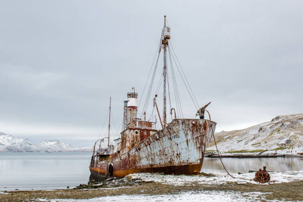 istock Old rusting whaling ship at Grytviken harbour,South Georgia 875003868