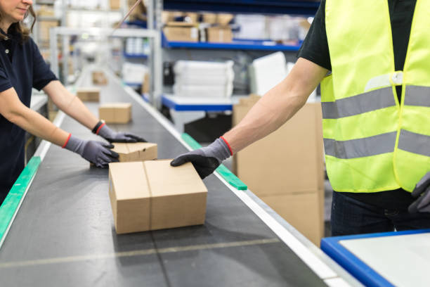 Workers working on conveyor belt in packaging plant Workers working on conveyor belt in packaging plant. Cropped shot of worker hands takes parcel from moving belt conveyor at distribution warehouse. conveyor belt stock pictures, royalty-free photos & images