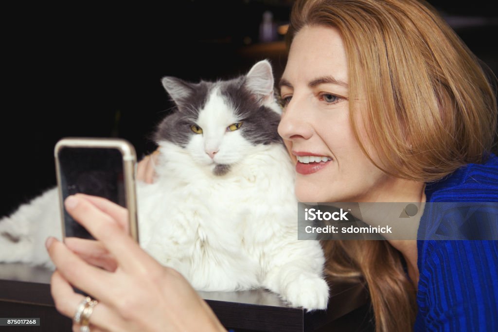 Crazy Cat Lady Selfie A woman taking a cheek to cheek selfie with her cat. Domestic Cat Stock Photo