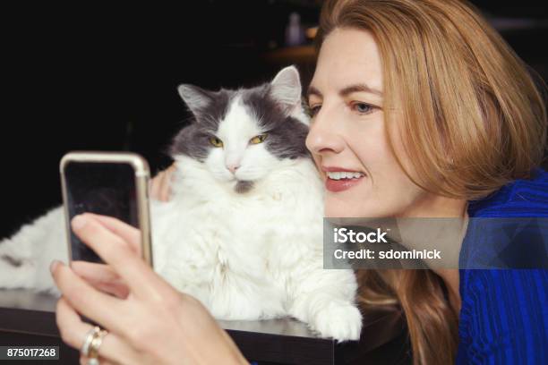 Crazy Cat Lady Selfie Stock Photo - Download Image Now - Domestic Cat, Mature Women, Selfie