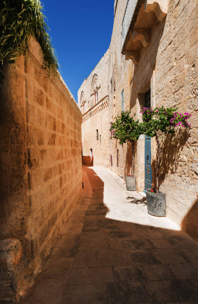 istock Narrow street in Mdina (Malta) 875017454