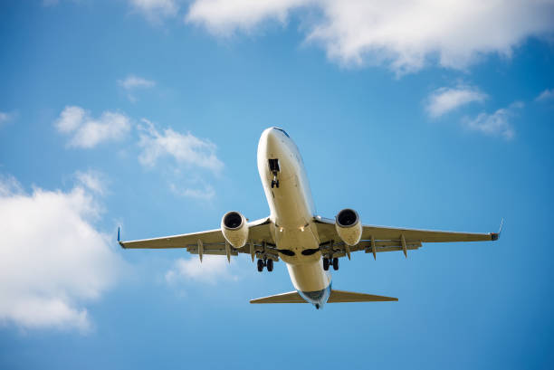 istock plane flies in the  sky 875021380