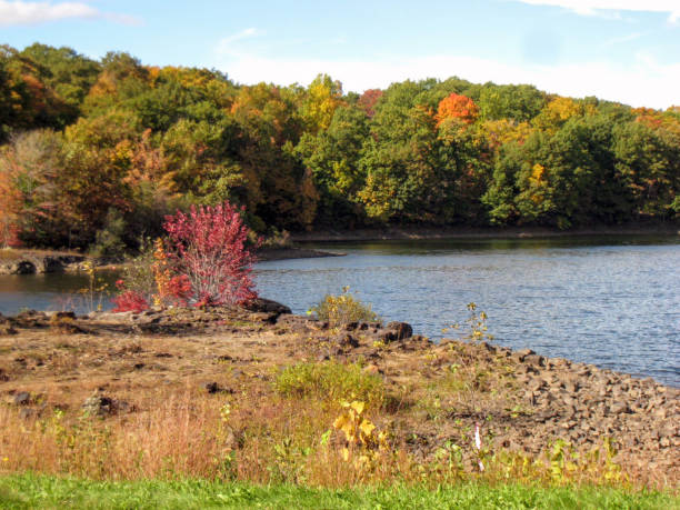 istock autumn landscape with water 875023844