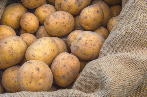 Fresh vegetarian potatoes in jute bag