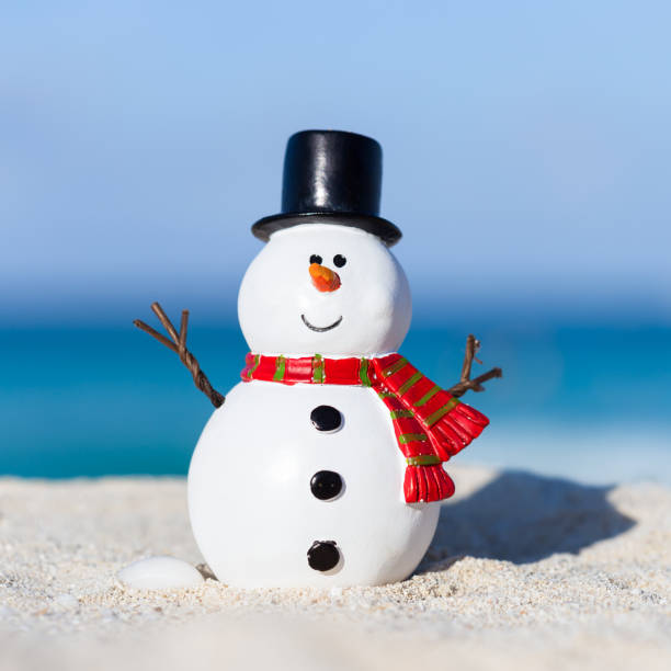 istock Snowman toy on white sandy beach 875029002
