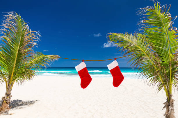 istock Christmas stocking hanging on coconut palm tree leaf 875036236