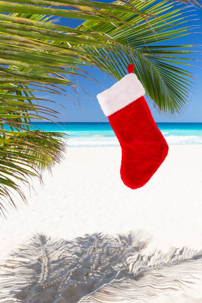 istock Christmas stocking hanging on coconut palm tree leaf 875036252