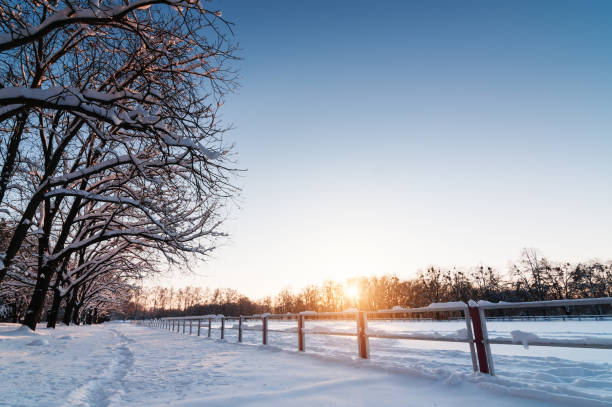 istock Winter Alley at sunset 875036572