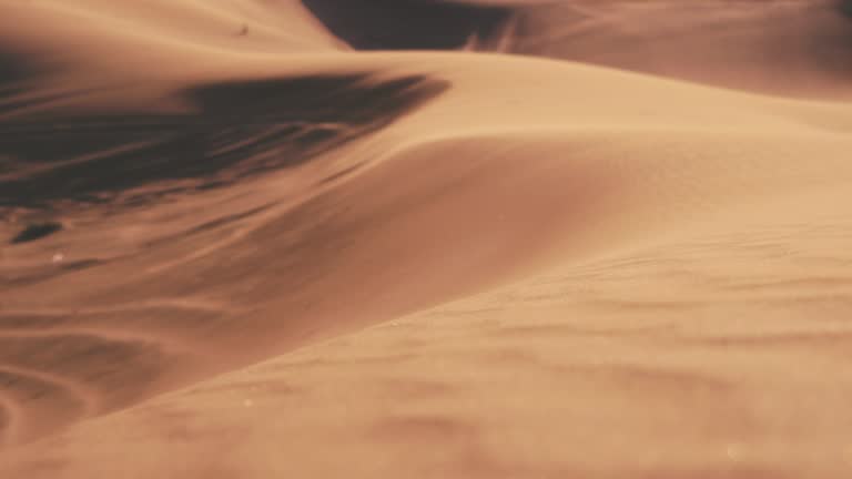 Sand Dunes in the Desert