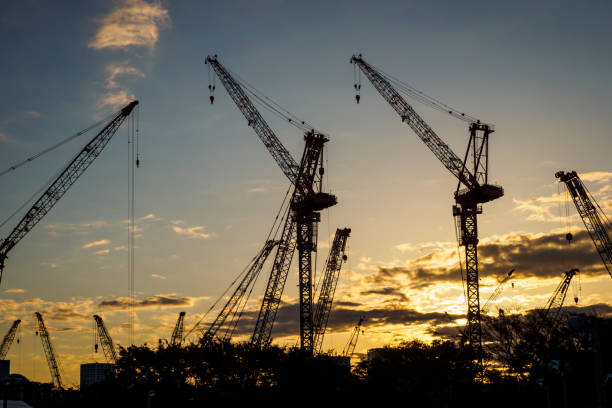istock Crane silhouette in Japan 875042840