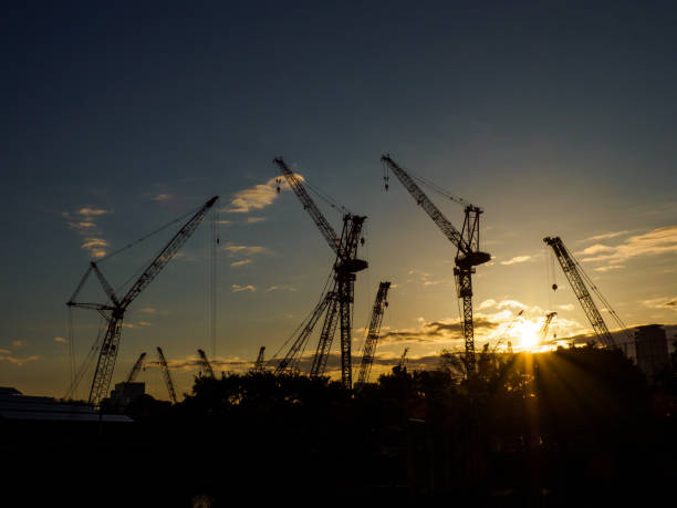 istock Crane silhouette in Japan 875042982