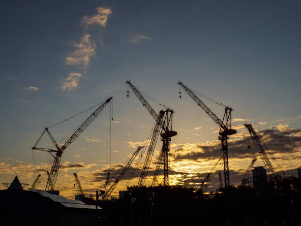 istock Crane silhouette in Japan 875043078