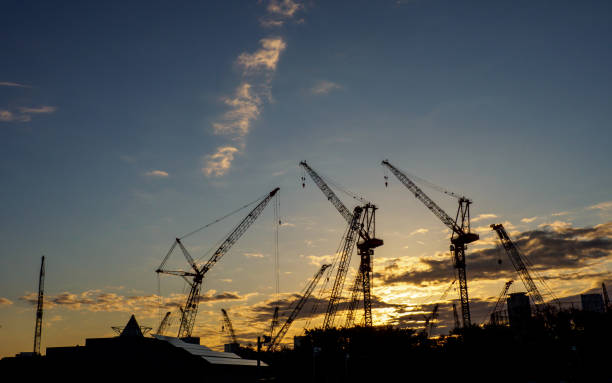 istock Crane silhouette in Japan 875043094