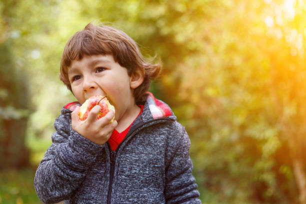 istock Little boy child kid eating apple fruit autumn fall copyspace 875043270