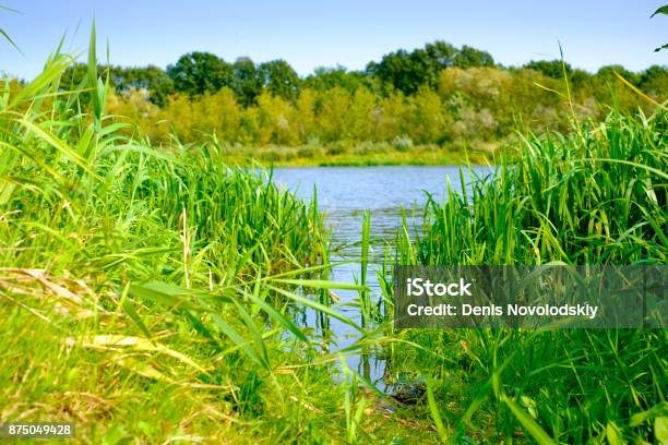 Paisaje De Primavera Foto de stock y más banco de imágenes de Agua - Agua, Aire libre, Azul