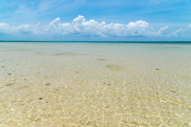 istock View to the Haimurubushi beach (Kohama Island / Kohamajima, Okinawa) 875049592