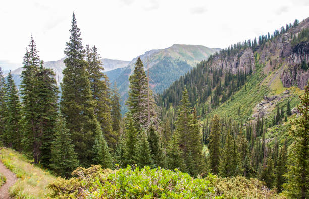 istock Deep Colorado Rocky Mountain valley 875050512