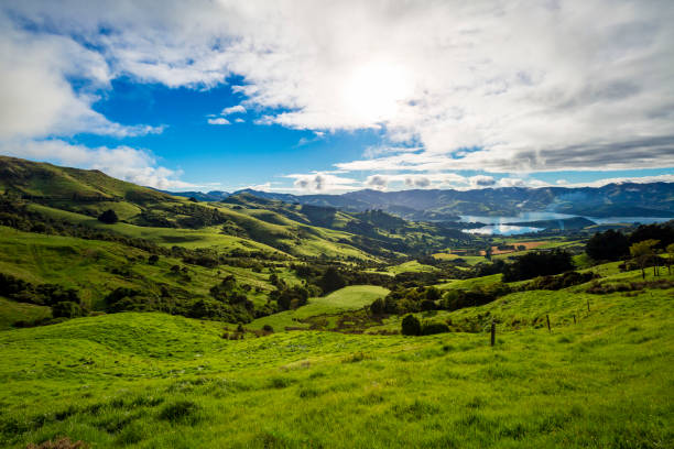 아카로아 - akaroa banks peninsula bay sea 뉴스 사진 이미지