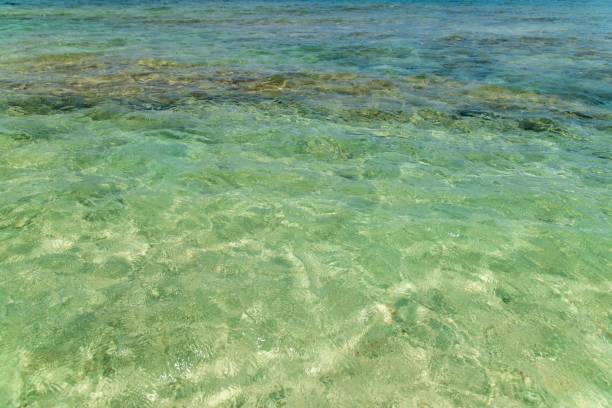 istock View to the Nakamoto Beach (Kuro-shima, Okinawa) 875054656