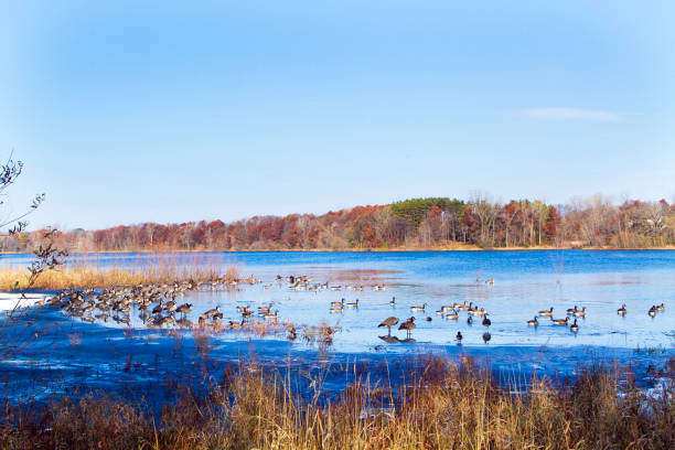 istock Ready to fly south for the winter? 875064086
