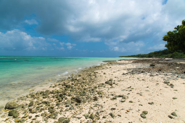 istock View to the Kaiji Beach / Hoshizuna Beach (Taketomi Island/Taketomi-jima, Okinawa) 875068144