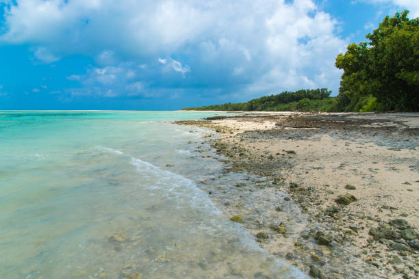 istock View to the Kaiji Beach / Hoshizuna Beach (Taketomi Island/Taketomi-jima, Okinawa) 875070758