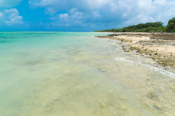 istock View to the Kaiji Beach / Hoshizuna Beach (Taketomi Island/Taketomi-jima, Okinawa) 875070796