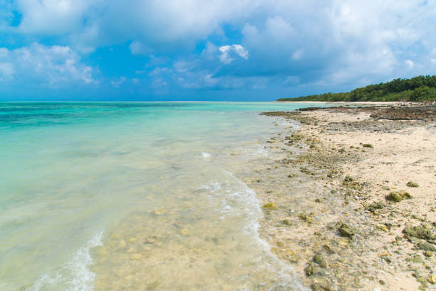 istock View to the Kaiji Beach / Hoshizuna Beach (Taketomi Island/Taketomi-jima, Okinawa) 875070800