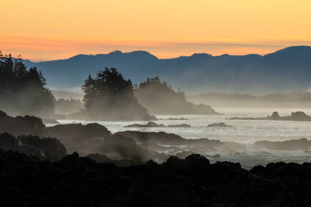 istock Dramatic dawn over rocky coast of Vancouver Island 875074144