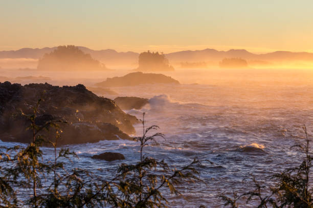 istock Orange, yellow and pink mist over Pacific Ocean, Ucluelet, BC 875074178