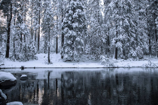 istock Winter by Merced River in Yosemite 875077228