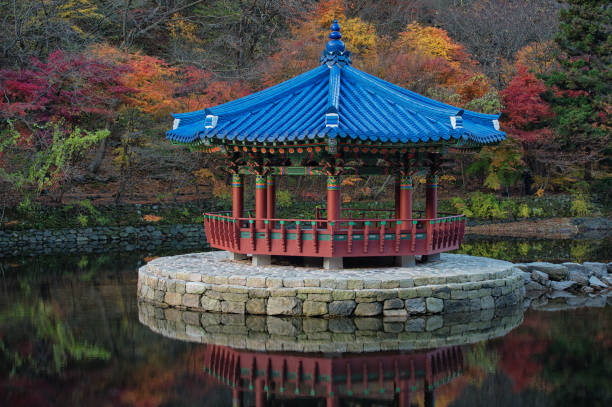istock Blue Roof Pagoda 875078014