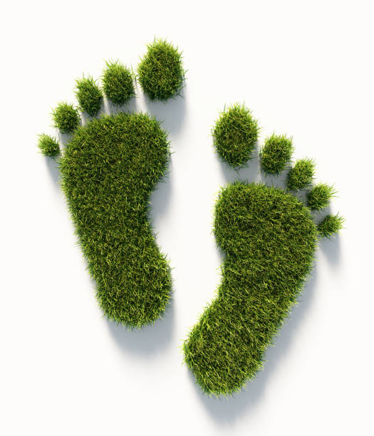 Human Carbon Footprint Symbol Made Of Green Grass : Green Energy Concept Human carbon footprint symbol made of green grass on white background. Vertical composition with copy space.  Clipping path is included. Green energy concept. carbon footprint stock pictures, royalty-free photos & images