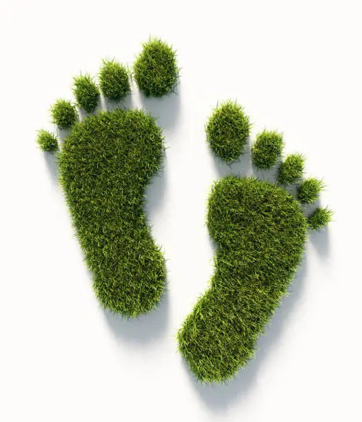Human carbon footprint symbol made of green grass on white background. Vertical composition with copy space.  Clipping path is included. Green energy concept.