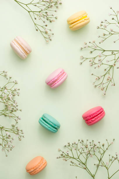 istock Dessert. Sweet macarons or macaroons with flowers. 875097066