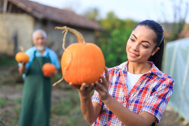 braccianti agricoli che raccolgono zucche - casual granddaughter farmer expressing positivity foto e immagini stock