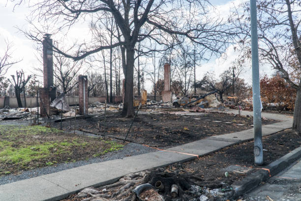 istock Burned Neighborhood 875116924