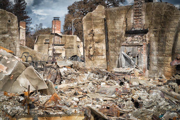 istock Burned Neighborhood 875116944