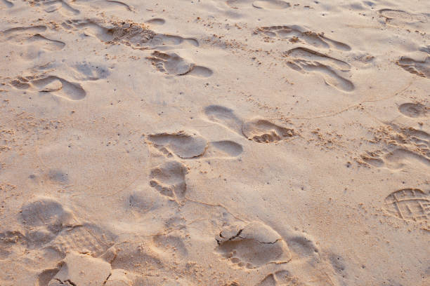 istock footprint and shoe print on sand at the beach 875121044