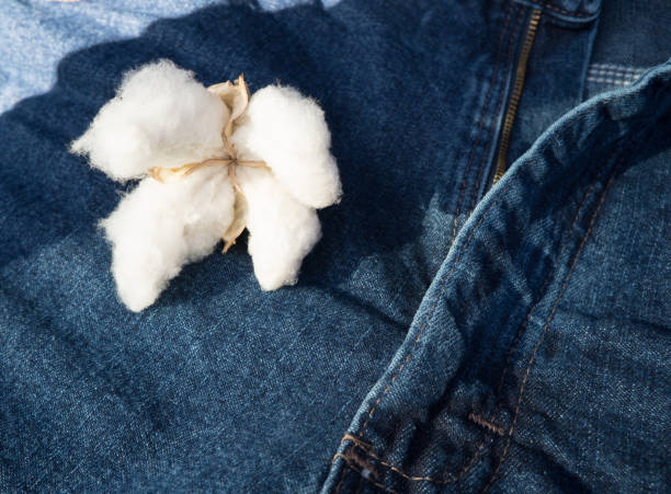 istock Cotton Sitting on Blue Jeans Made by Fiber 875124672