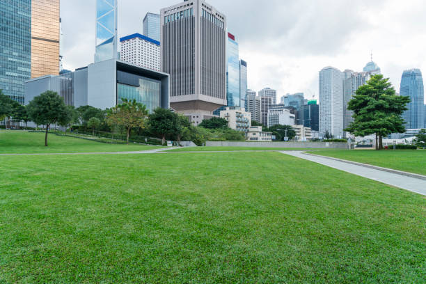 istock Hong Kong central district with city park 875131900